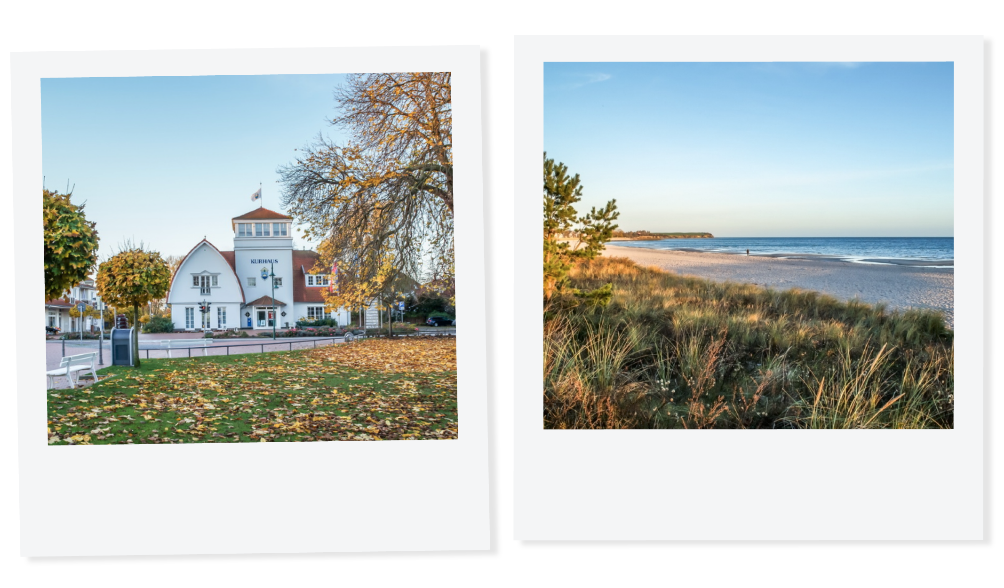 REETHUUS SEESTERN_Slider22